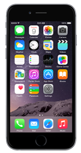 apple-iphone-6-plus-16gb-space-gray-450x350-e1433513765491[1]